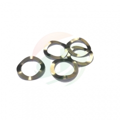 China Leading Button cell Wave Spring(Belleville Washers) -316ss Manufacturer