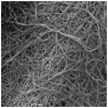 Multi wall carbon nanotube