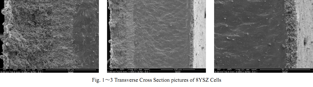 8YSZ Electrolyte Supported Cells