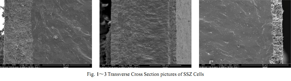 SSZ Electrolyte Supported Cells