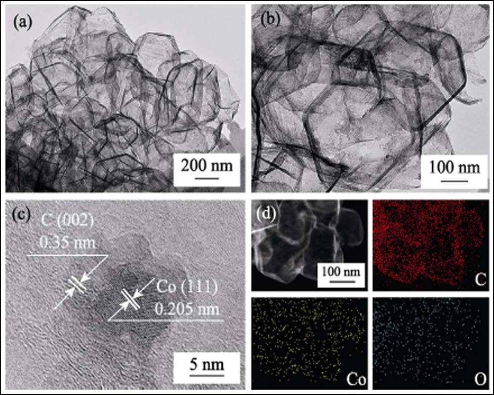 Lithium Sulfur Battery Cathode