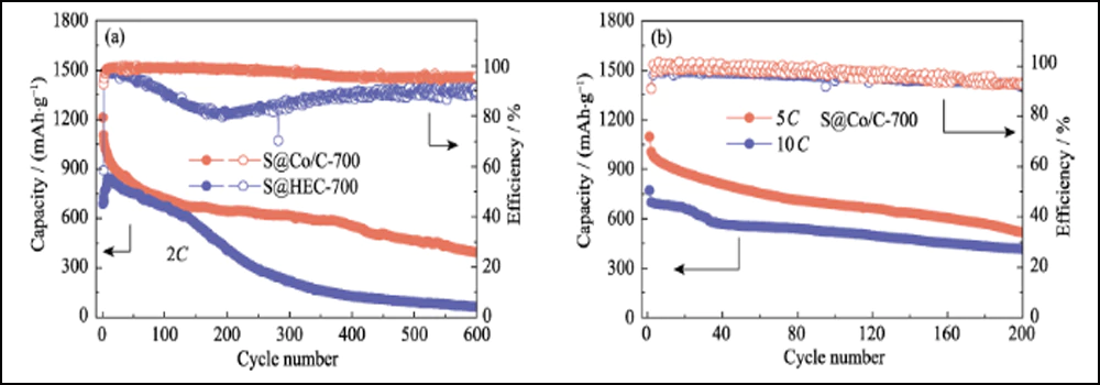 Lithium Sulfur Battery Cathode