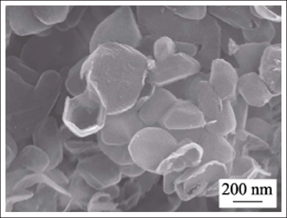 Lithium Sulfur Battery Cathode