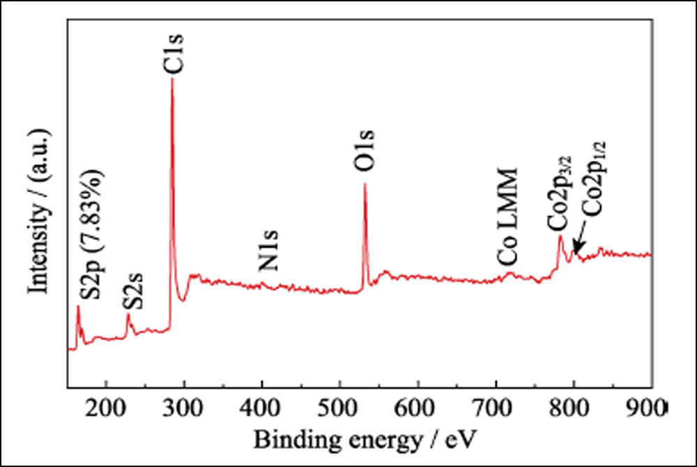 Lithium Sulfur Battery Cathode