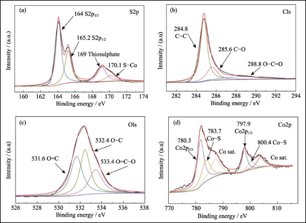 Lithium Sulfur Battery Cathode