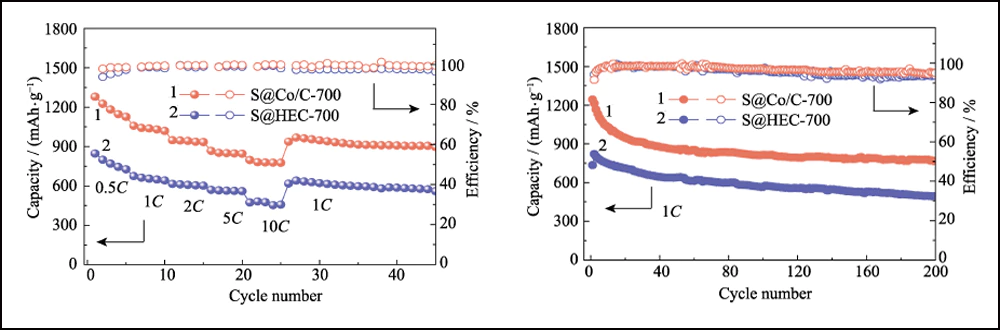 Lithium Sulfur Battery Cathode