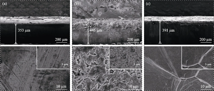 SEM images of metallic Li