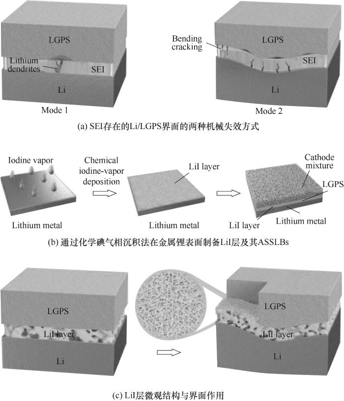 Fig.3 Schematic diagram of interface between LGPS and Li anode