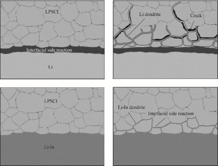 Fig.6 Before and after cycling interface evolution for Li-In|LPSCl|LNO@NCM622 cell