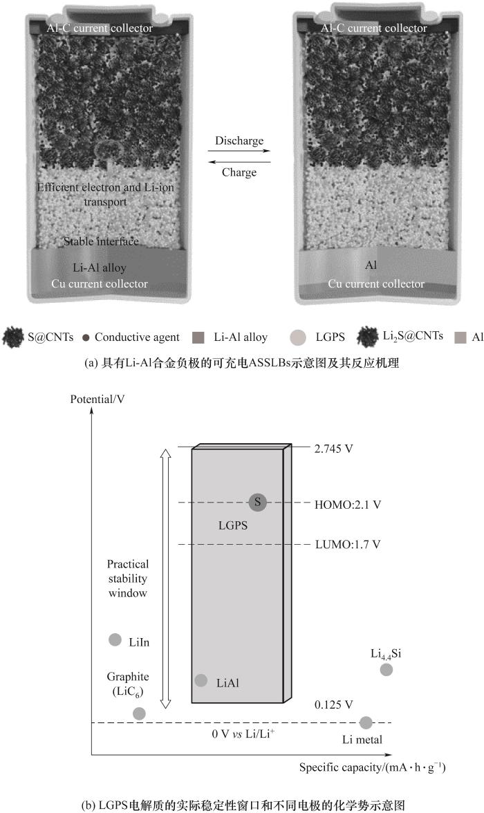 Fig.7 Schematics of the Li-Al alloy anode in ASSLBs