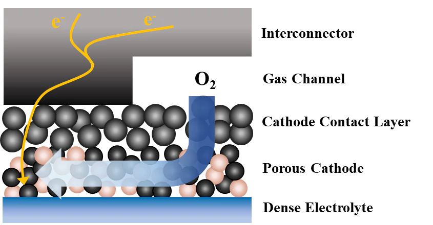 Schematic diagram of the cathode and interconnector contact interface