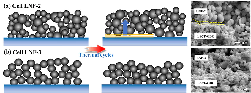 Schematic diagrams and SEM images for cathode contact interfaces of single cells after thermal cycling