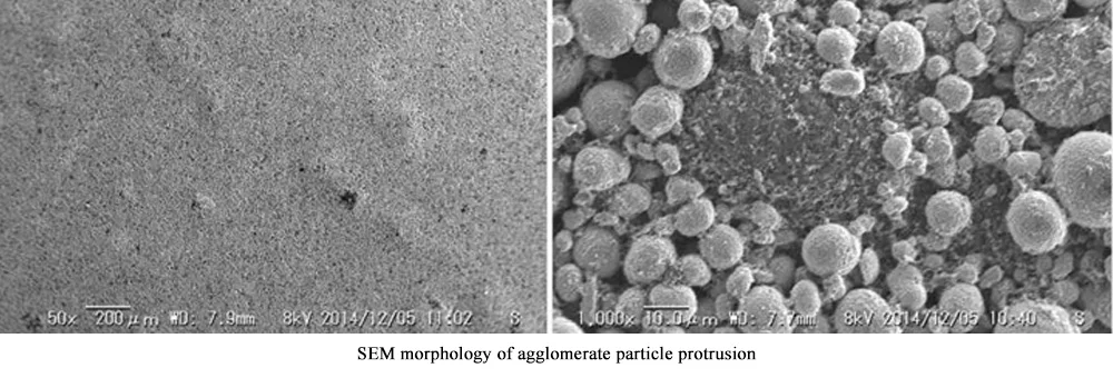 SEM morphology of agglomerate particle protrusion SEM morphology of agglomerate particle protrusion