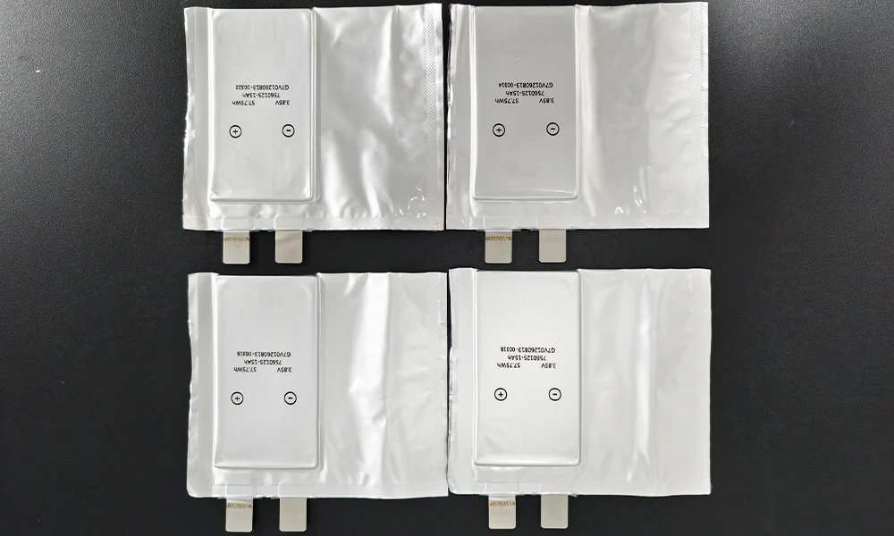 Anode-Free Pouch Cell Before Electrolyte Filling Anode-Free Pouch Cell Before Electrolyte Filling