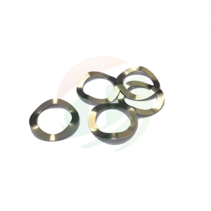 316 Stainless Steel Spring(Belleville Washers) for CR2032