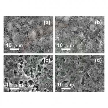 Sulfur-Carbon Composite Cathode