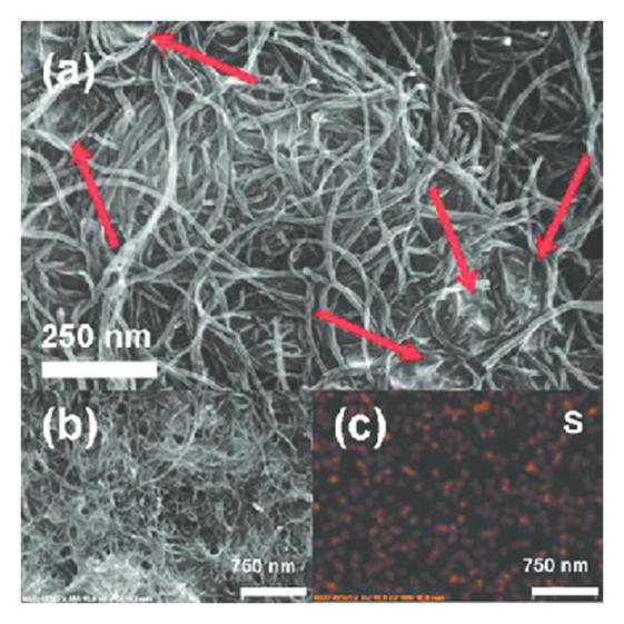 Sulfur-Carbon Composite Cathode